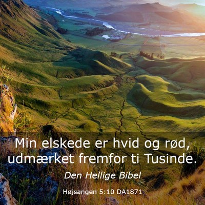 Picture 03 - Højsangen 5:10 DA1871 - Min elskede er hvid og rød, udmærket fremfor ti - Bible Verse Picture