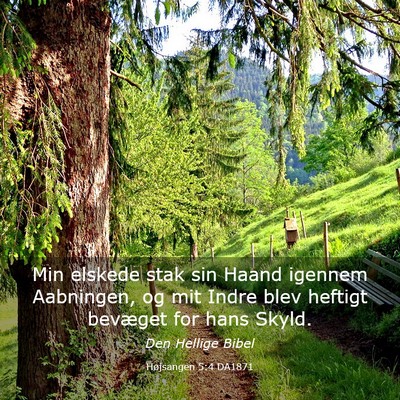 Picture 03 - Højsangen 5:4 DA1871 - Min elskede stak sin Haand igennem Aabningen, og - Bible Verse Picture