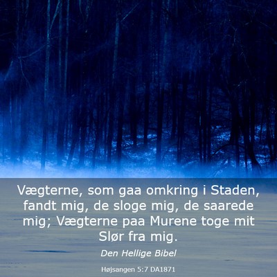 Picture 03 - Højsangen 5:7 DA1871 - Vægterne, som gaa omkring i Staden, fandt mig, - Bible Verse Picture