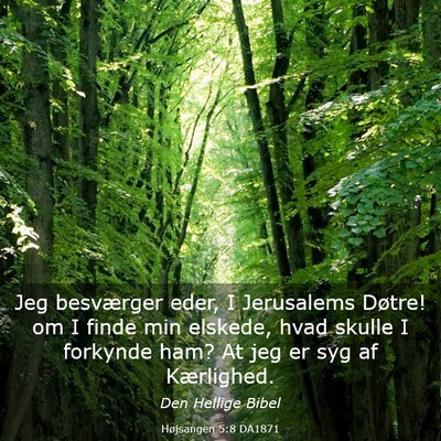 Picture 03 - Højsangen 5:8 DA1871 - Jeg besværger eder, I Jerusalems Døtre! om I - Bible Verse Picture