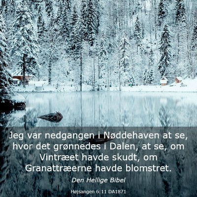 Picture 03 - Højsangen 6:11 DA1871 - Jeg var nedgangen i Nøddehaven at se, hvor det - Bible Verse Picture