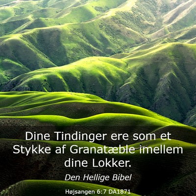Picture 03 - Højsangen 6:7 DA1871 - Dine Tindinger ere som et Stykke af Granatæble - Bible Verse Picture