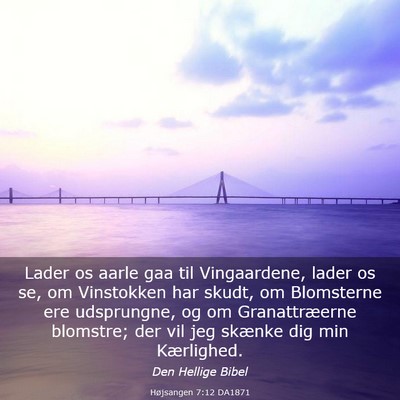Picture 03 - Højsangen 7:12 DA1871 - Lader os aarle gaa til Vingaardene, lader os se, - Bible Verse Picture