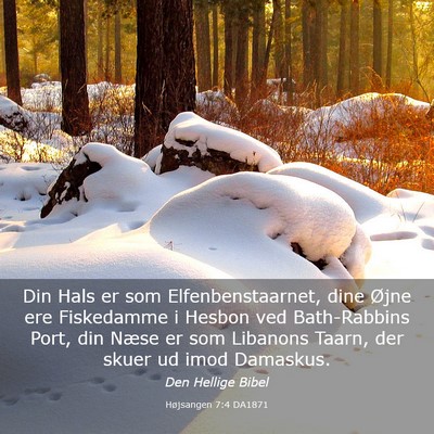 Picture 03 - Højsangen 7:4 DA1871 - Din Hals er som Elfenbenstaarnet, dine Øjne ere - Bible Verse Picture
