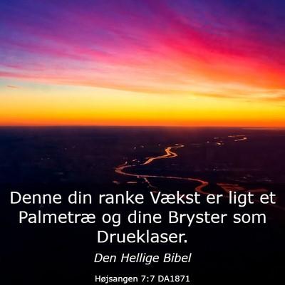 Picture 03 - Højsangen 7:7 DA1871 - Denne din ranke Vækst er ligt et Palmetræ og - Bible Verse Picture