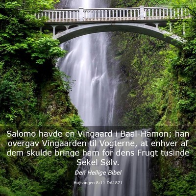 Picture 03 - Højsangen 8:11 DA1871 - Salomo havde en Vingaard i Baal-Hamon; han - Bible Verse Picture