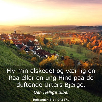 Picture 03 - Højsangen 8:14 DA1871 - Fly min elskede! og vær lig en Raa eller en ung - Bible Verse Picture