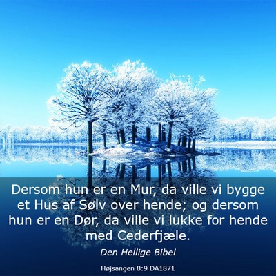 Picture 03 - Højsangen 8:9 DA1871 - Dersom hun er en Mur, da ville vi bygge et Hus af - Bible Verse Picture