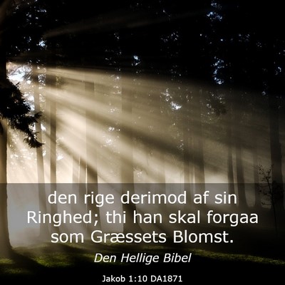 Picture 03 - Jakob 1:10 DA1871 - den rige derimod af sin Ringhed; thi han skal - Bible Verse Picture