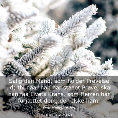Picture 03 - Jakob 1:12 DA1871 - Salig den Mand, som holder Prøvelse ud; thi naar - Bible Verse Picture