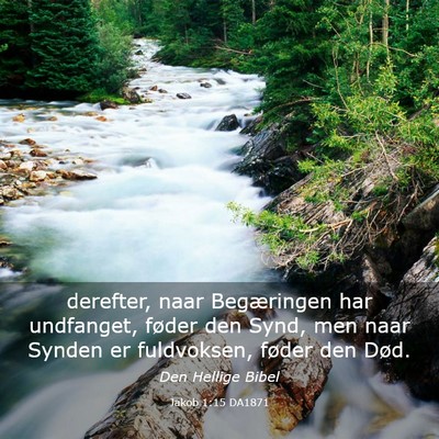 Picture 03 - Jakob 1:15 DA1871 - derefter, naar Begæringen har undfanget, føder - Bible Verse Picture