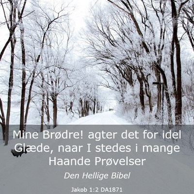 Picture 03 - Jakob 1:2 DA1871 - Mine Brødre! agter det for idel Glæde, naar I - Bible Verse Picture