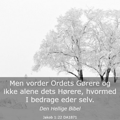 Picture 03 - Jakob 1:22 DA1871 - Men vorder Ordets Gørere og ikke alene dets - Bible Verse Picture
