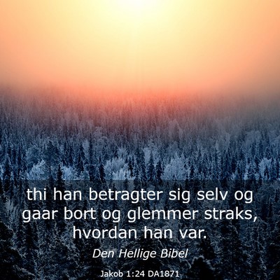 Picture 03 - Jakob 1:24 DA1871 - thi han betragter sig selv og gaar bort og - Bible Verse Picture