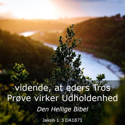 Picture 03 - Jakob 1:3 DA1871 - vidende, at eders Tros Prøve virker - Bible Verse Picture