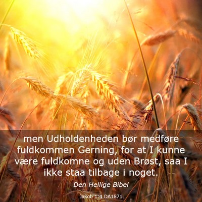 Picture 03 - Jakob 1:4 DA1871 - men Udholdenheden bør medføre fuldkommen - Bible Verse Picture