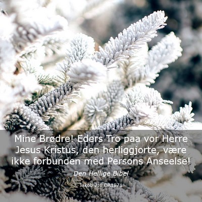Picture 03 - Jakob 2:1 DA1871 - Mine Brødre! Eders Tro paa vor Herre Jesus - Bible Verse Picture
