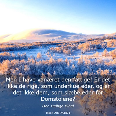 Picture 03 - Jakob 2:6 DA1871 - Men I have vanæret den fattige! Er det ikke de - Bible Verse Picture