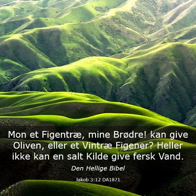 Picture 03 - Jakob 3:12 DA1871 - Mon et Figentræ, mine Brødre! kan give Oliven, - Bible Verse Picture