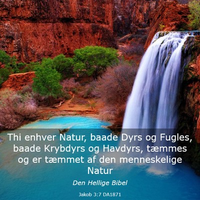 Picture 03 - Jakob 3:7 DA1871 - Thi enhver Natur, baade Dyrs og Fugles, baade - Bible Verse Picture