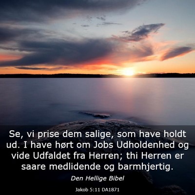 Picture 03 - Jakob 5:11 DA1871 - Se, vi prise dem salige, som have holdt ud. I - Bible Verse Picture
