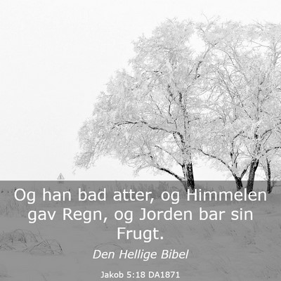 Picture 03 - Jakob 5:18 DA1871 - Og han bad atter, og Himmelen gav Regn, og Jorden - Bible Verse Picture