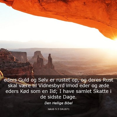 Picture 03 - Jakob 5:3 DA1871 - eders Guld og Sølv er rustet op, og deres Rust - Bible Verse Picture