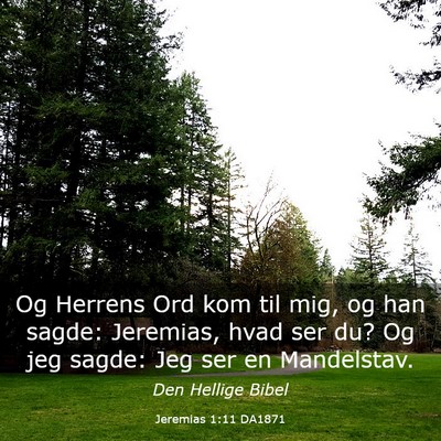 Picture 03 - Jeremias 1:11 DA1871 - Og Herrens Ord kom til mig, og han sagde: - Bible Verse Picture