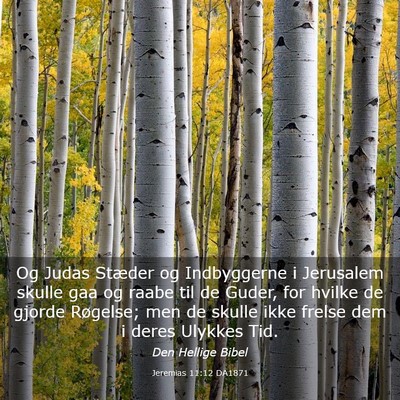 Picture 03 - Jeremias 11:12 DA1871 - Og Judas Stæder og Indbyggerne i Jerusalem - Bible Verse Picture