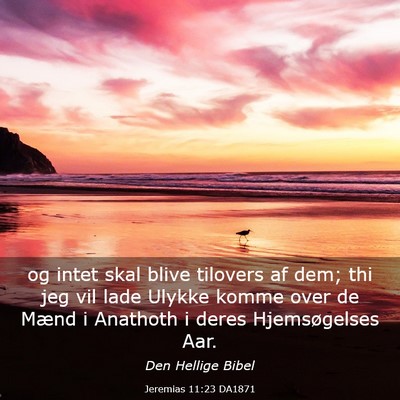 Picture 03 - Jeremias 11:23 DA1871 - og intet skal blive tilovers af dem; thi jeg vil - Bible Verse Picture