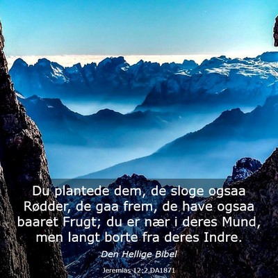 Picture 03 - Jeremias 12:2 DA1871 - Du plantede dem, de sloge ogsaa Rødder, de gaa - Bible Verse Picture