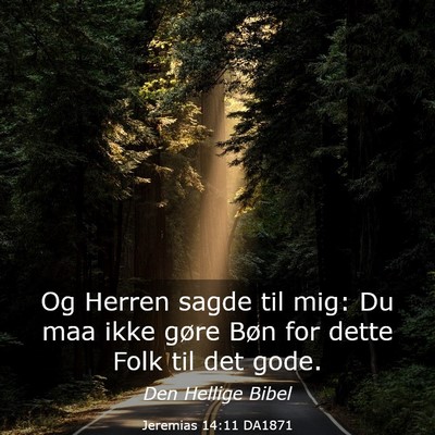 Picture 03 - Jeremias 14:11 DA1871 - Og Herren sagde til mig: Du maa ikke gøre Bøn - Bible Verse Picture
