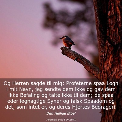 Picture 03 - Jeremias 14:14 DA1871 - Og Herren sagde til mig: Profeterne spaa Løgn i - Bible Verse Picture