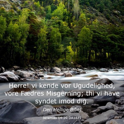 Picture 03 - Jeremias 14:20 DA1871 - Herre! vi kende vor Ugudelighed, vore Fædres - Bible Verse Picture