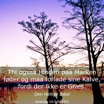 Picture 03 - Jeremias 14:5 DA1871 - Thi ogsaa Hinden paa Marken føder og maa forlade - Bible Verse Picture