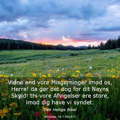 Picture 03 - Jeremias 14:7 DA1871 - Vidne end vore Misgerninger imod os, Herre! da - Bible Verse Picture