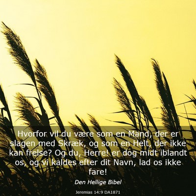 Picture 03 - Jeremias 14:9 DA1871 - Hvorfor vil du være som en Mand, der er slagen - Bible Verse Picture