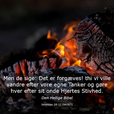 Picture 03 - Jeremias 18:12 DA1871 - Men de sige: Det er forgæves! thi vi ville - Bible Verse Picture