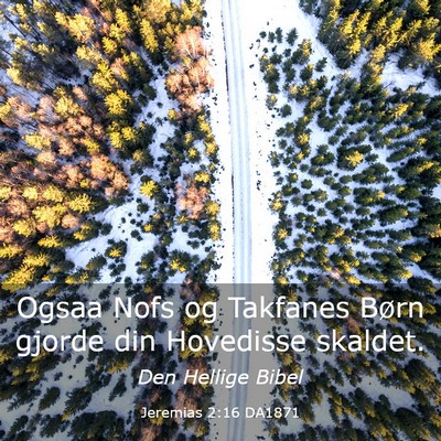 Picture 03 - Jeremias 2:16 DA1871 - Ogsaa Nofs og Takfanes Børn gjorde din Hovedisse - Bible Verse Picture