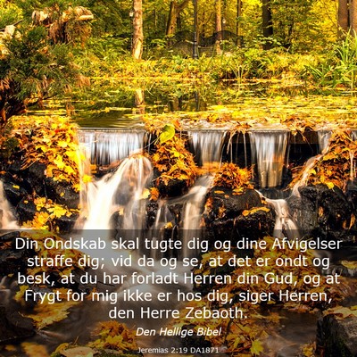 Picture 03 - Jeremias 2:19 DA1871 - Din Ondskab skal tugte dig og dine Afvigelser - Bible Verse Picture