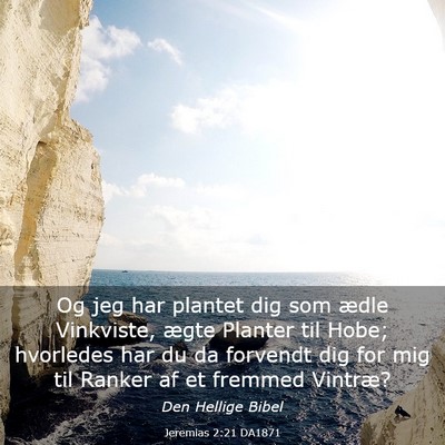 Picture 03 - Jeremias 2:21 DA1871 - Og jeg har plantet dig som ædle Vinkviste, ægte - Bible Verse Picture
