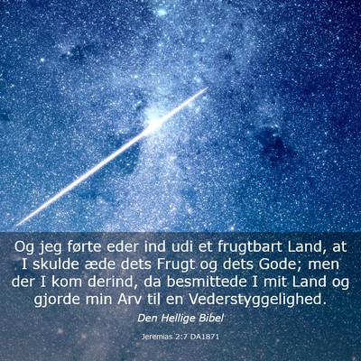 Picture 03 - Jeremias 2:7 DA1871 - Og jeg førte eder ind udi et frugtbart Land, at - Bible Verse Picture