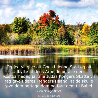 Picture 03 - Jeremias 20:5 DA1871 - Og jeg vil give alt Gods i denne Stad og alt - Bible Verse Picture