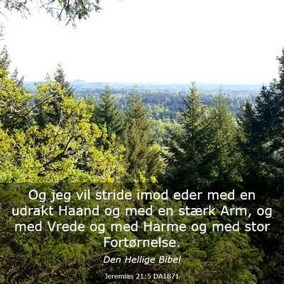 Picture 03 - Jeremias 21:5 DA1871 - Og jeg vil stride imod eder med en udrakt Haand - Bible Verse Picture
