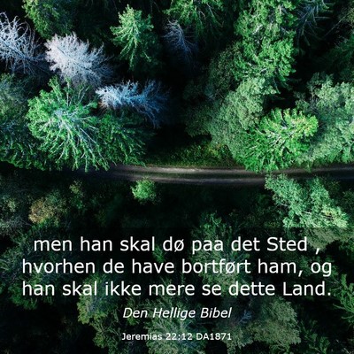 Picture 03 - Jeremias 22:12 DA1871 - men han skal dø paa det Sted , hvorhen de have - Bible Verse Picture