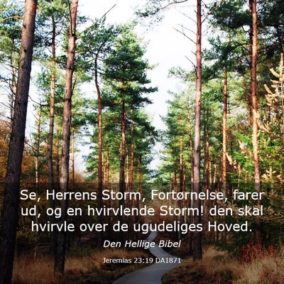 Picture 03 - Jeremias 23:19 DA1871 - Se, Herrens Storm, Fortørnelse, farer ud, og en - Bible Verse Picture