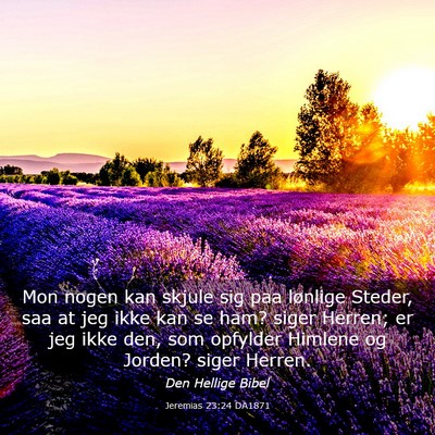 Picture 03 - Jeremias 23:24 DA1871 - Mon nogen kan skjule sig paa lønlige Steder, saa - Bible Verse Picture
