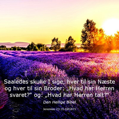 Picture 03 - Jeremias 23:35 DA1871 - Saaledes skulle I sige, hver til sin Næste og - Bible Verse Picture