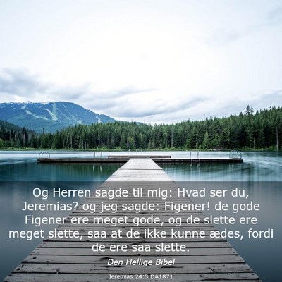 Picture 03 - Jeremias 24:3 DA1871 - Og Herren sagde til mig: Hvad ser du, Jeremias? - Bible Verse Picture