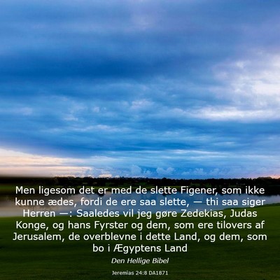 Picture 03 - Jeremias 24:8 DA1871 - Men ligesom det er med de slette Figener, som - Bible Verse Picture